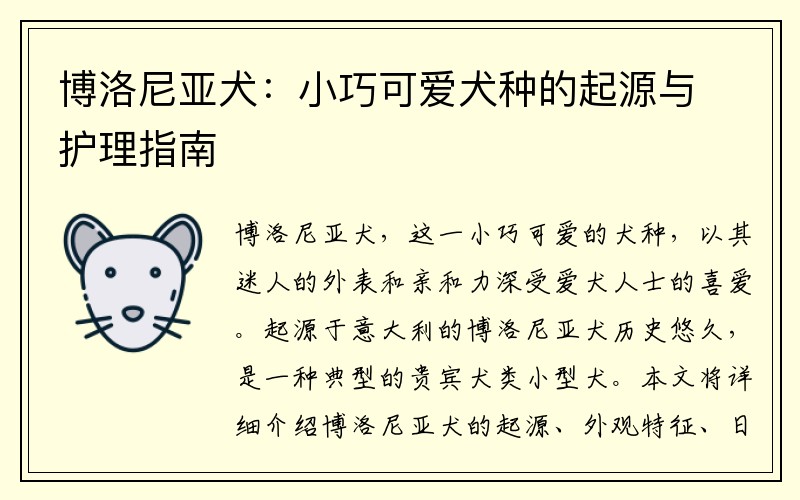 博洛尼亚犬：小巧可爱犬种的起源与护理指南